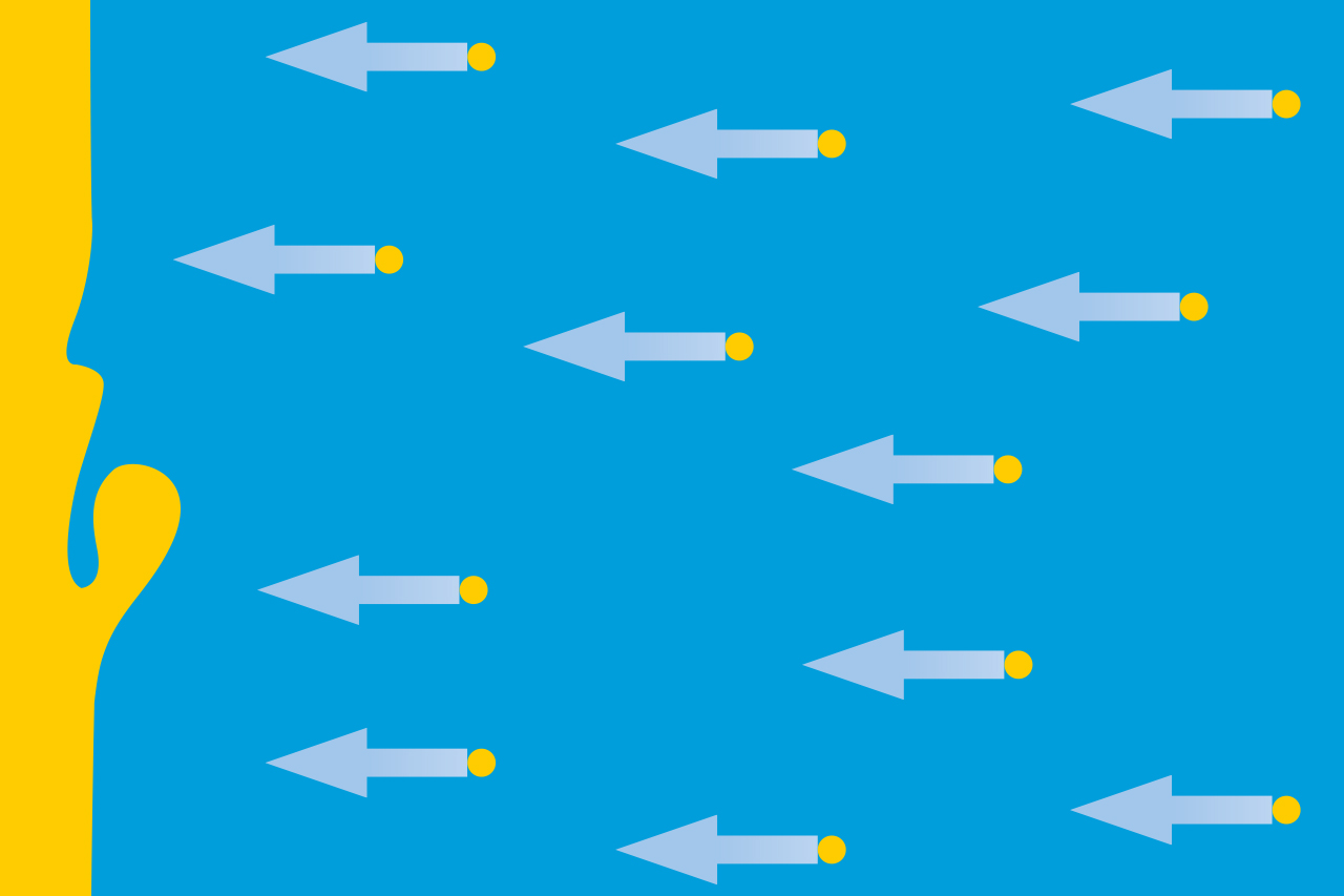 2. Effet de flottabilité